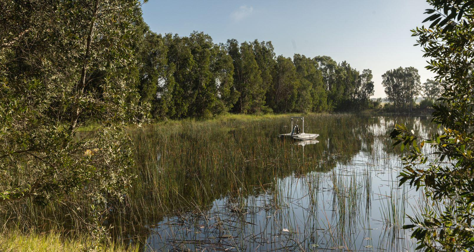 Synergy Resource Management | Lake Cochran PFAS Water Treatment